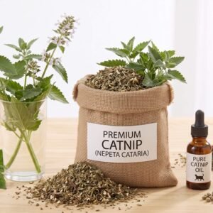 Catnip