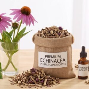 Echinacea