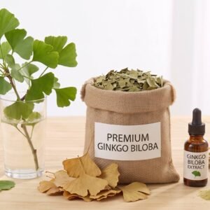 Gingko Biloba