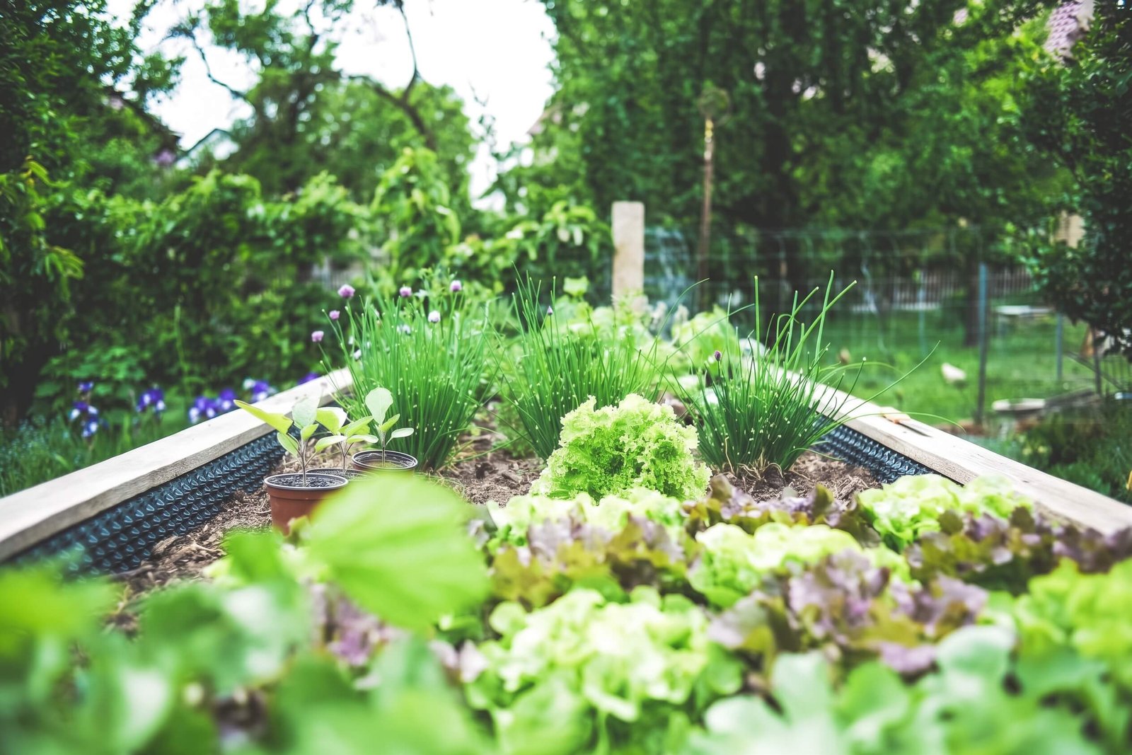 Botanical Harvest at Monticello Growers