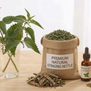 Stinging Nettle